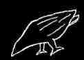 Crow based on Aberlemo Churchyard Cross sketch copyright  2002 Aaron Miller for Cruithne Designs 