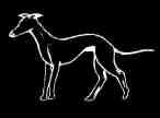 Hound based on Rossie Priory stone copyright  2002 Aaron Miller for Cruithne Designs