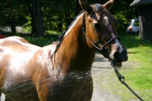 Saorsa bath