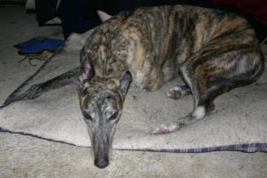 Grainne lying down
