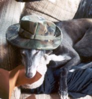Bran in boonie hat