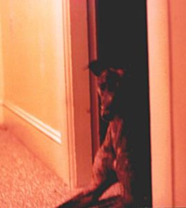 Irony in doorway